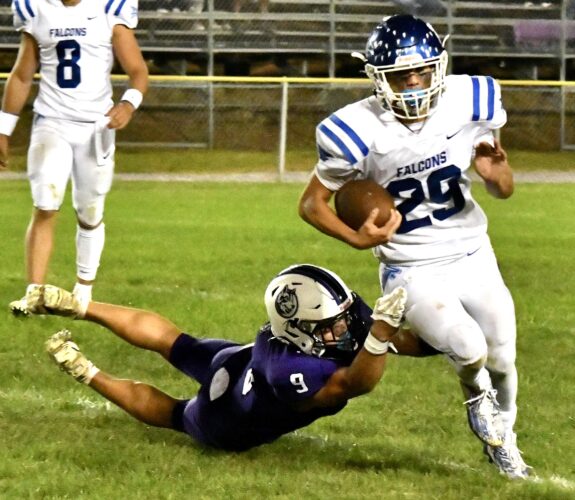 Mifflin CountyLower Dauphin football News, Sports, Jobs The Sentinel